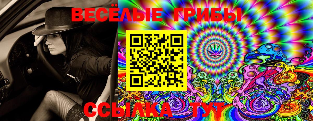 купить  сайты  Псилоцибиновые грибы MAGIC MUSHROOMS  Вход с VPN  Гуково 